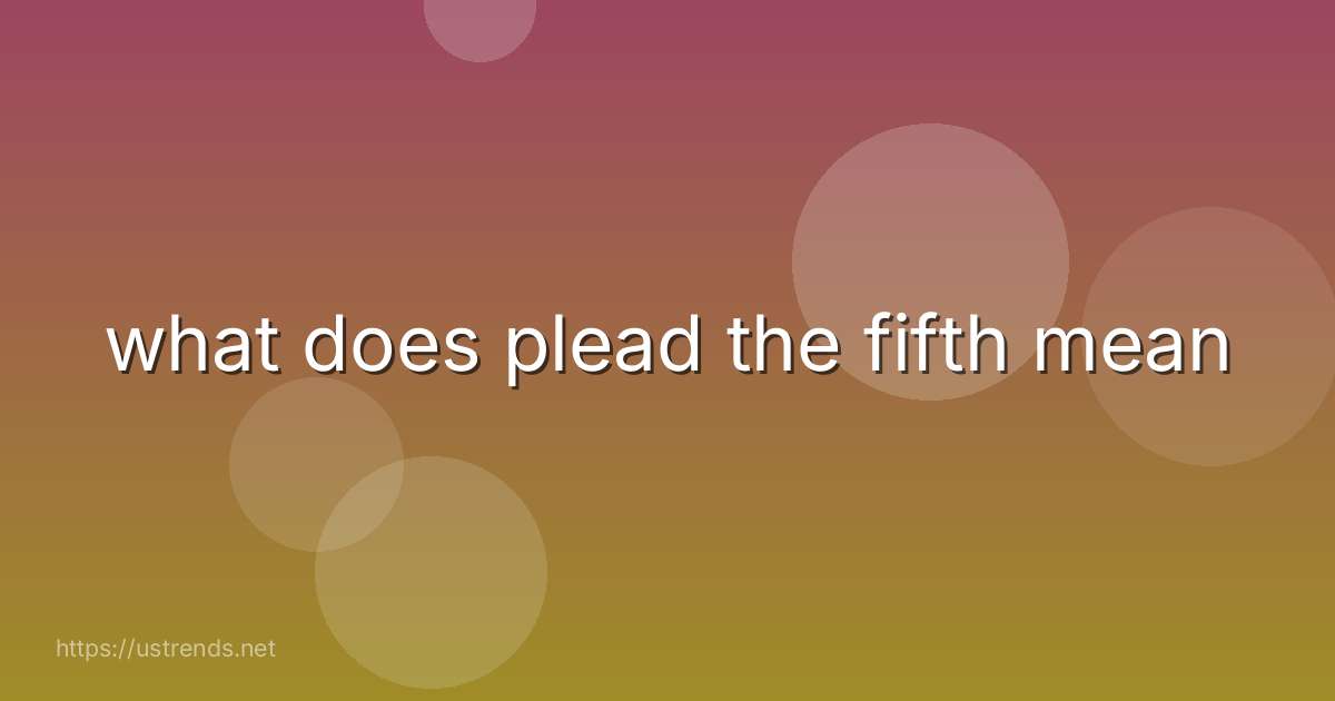 what does plead the fifth mean