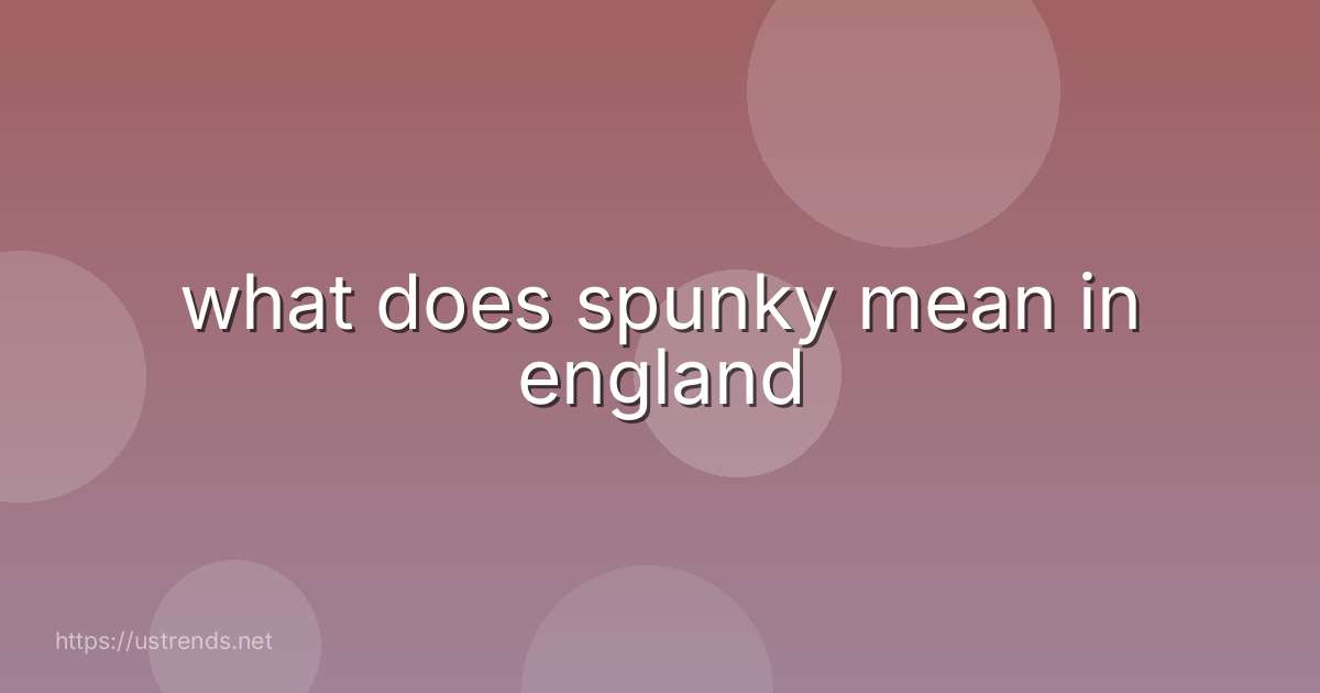 what does spunky mean in england