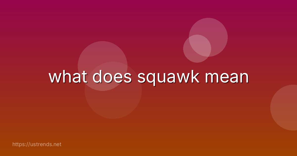 what does squawk mean