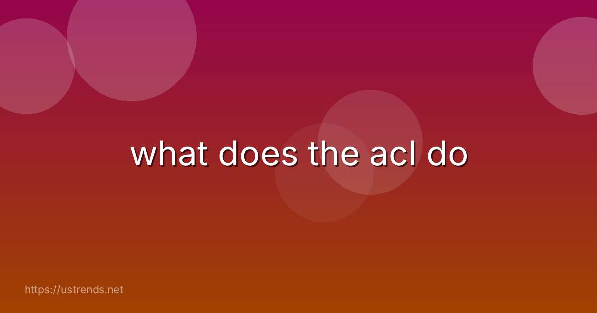 what does the acl do