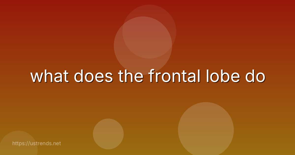 what does the frontal lobe do