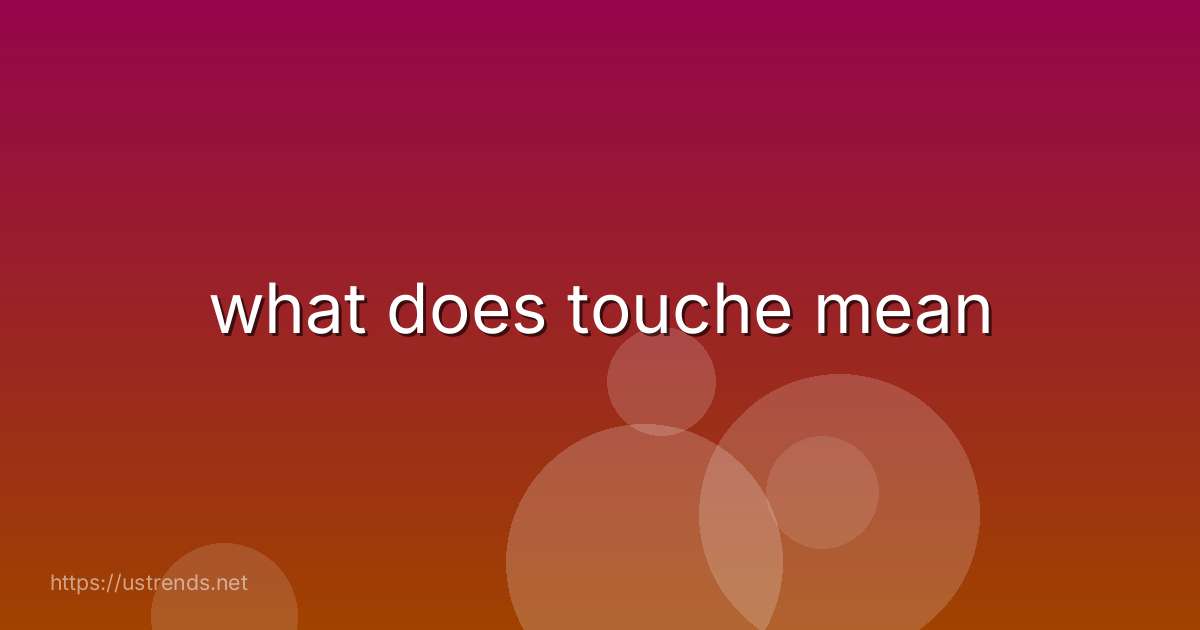 what does touche mean