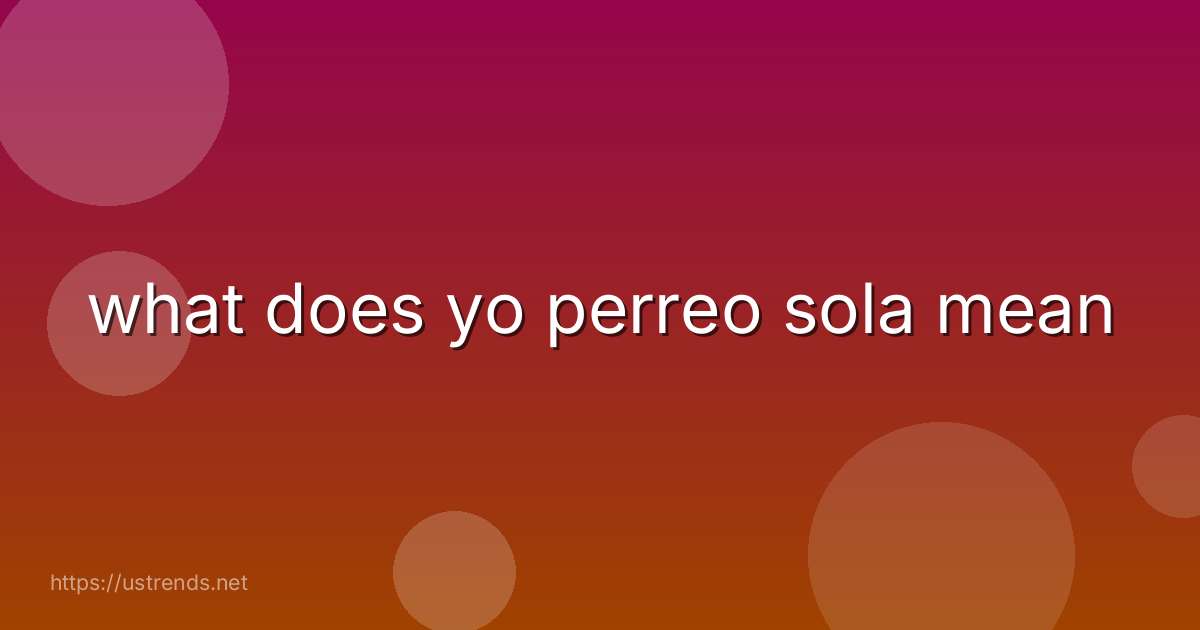 what does yo perreo sola mean