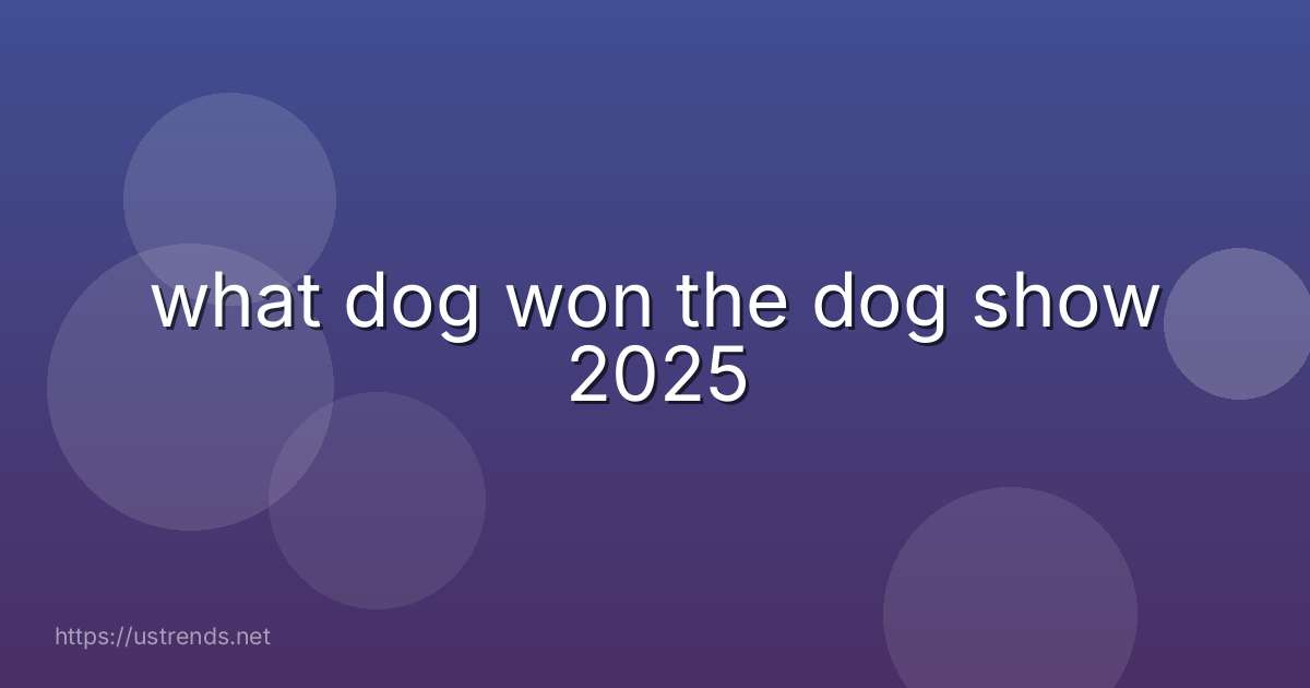 what dog won the dog show 2025