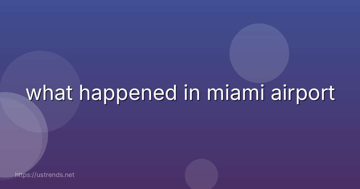 what happened in miami airport
