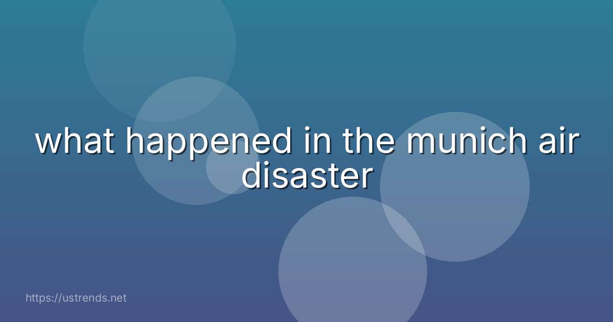 what happened in the munich air disaster