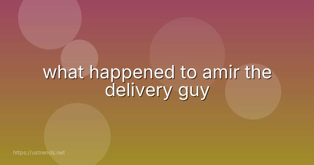 what happened to amir the delivery guy