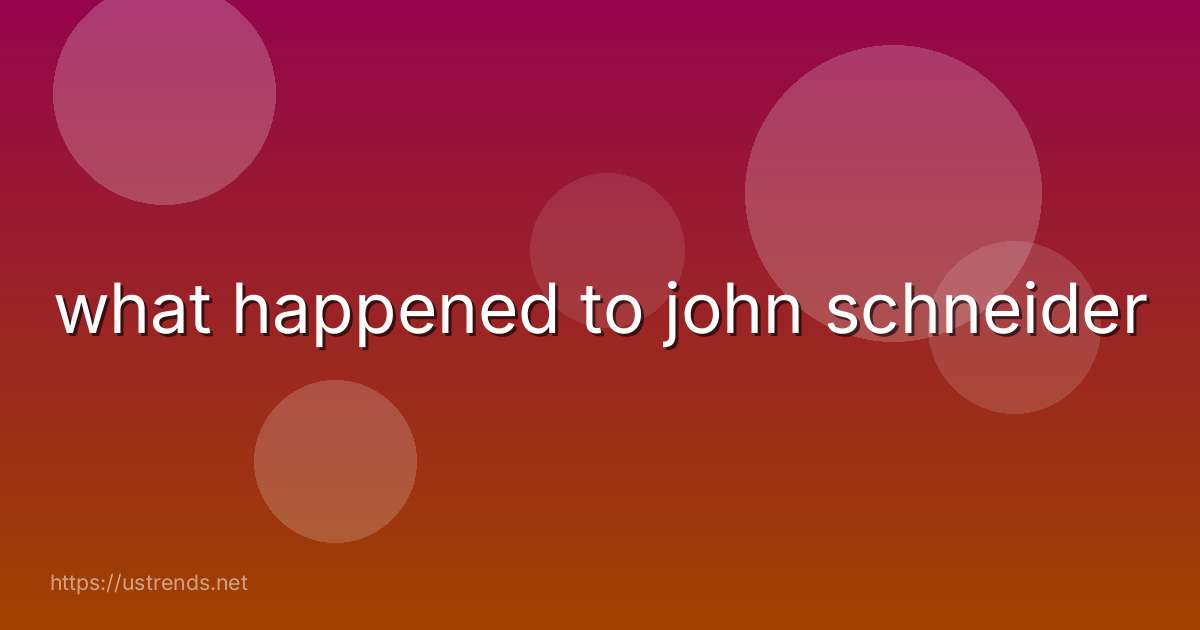 what happened to john schneider