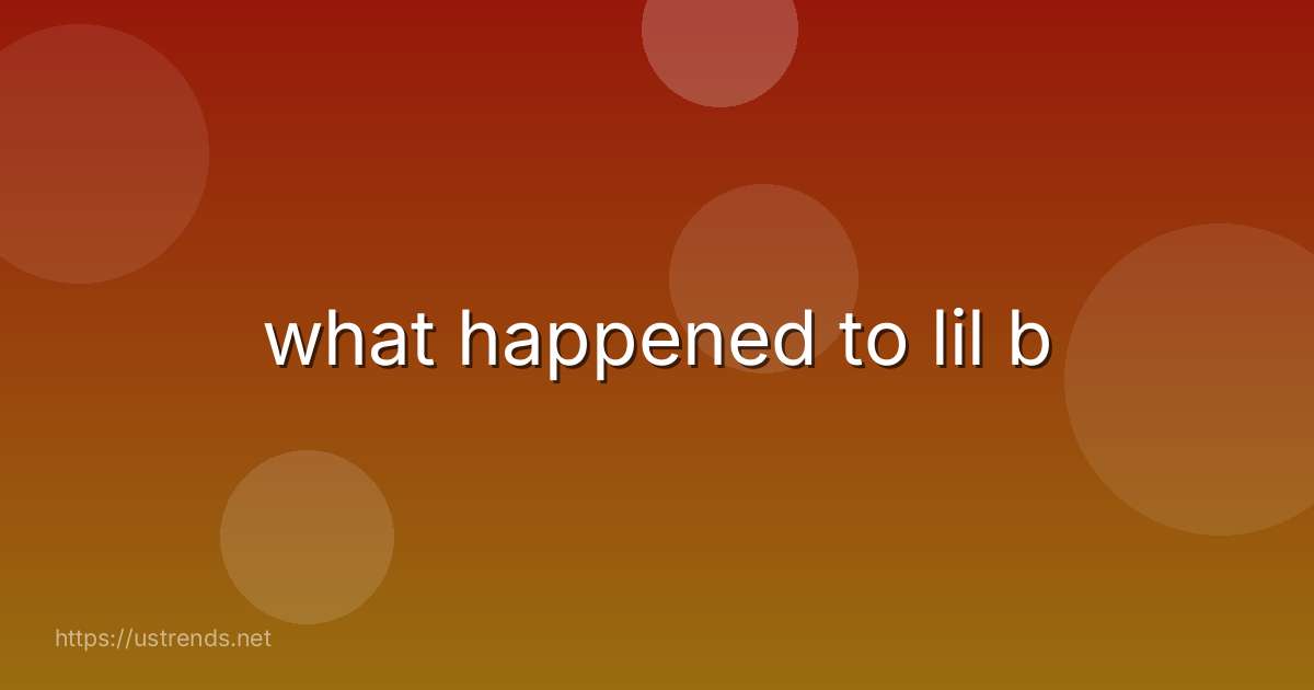 what happened to lil b
