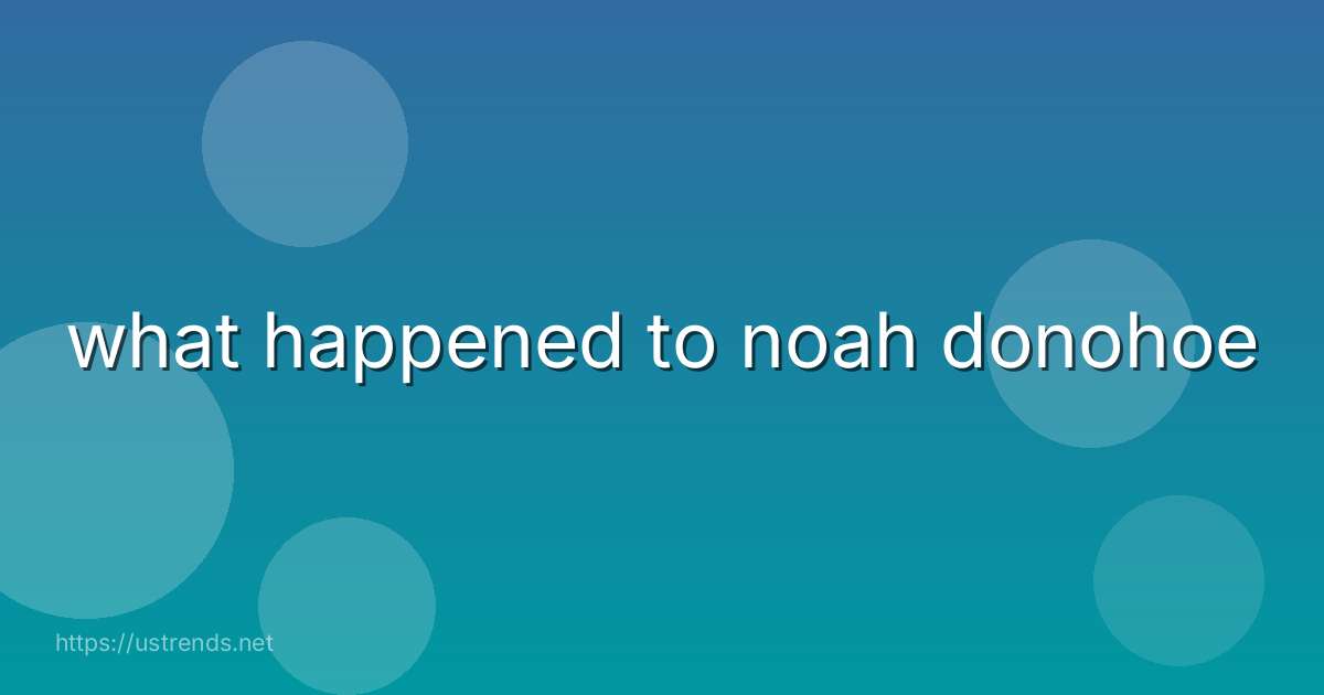 what happened to noah donohoe