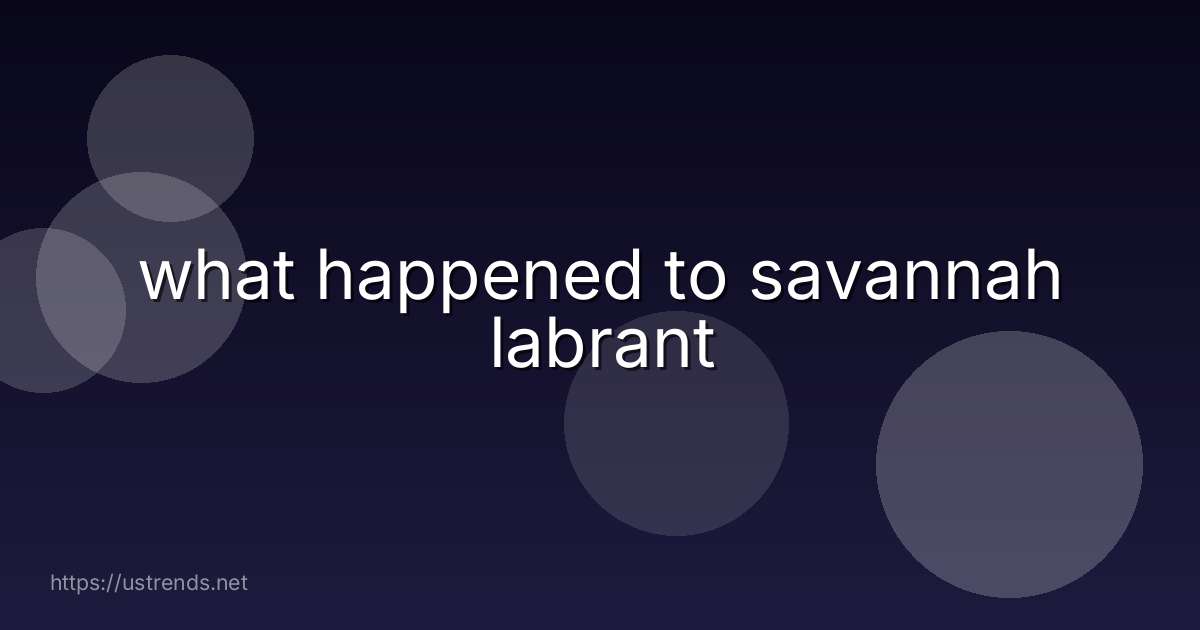 what happened to savannah labrant