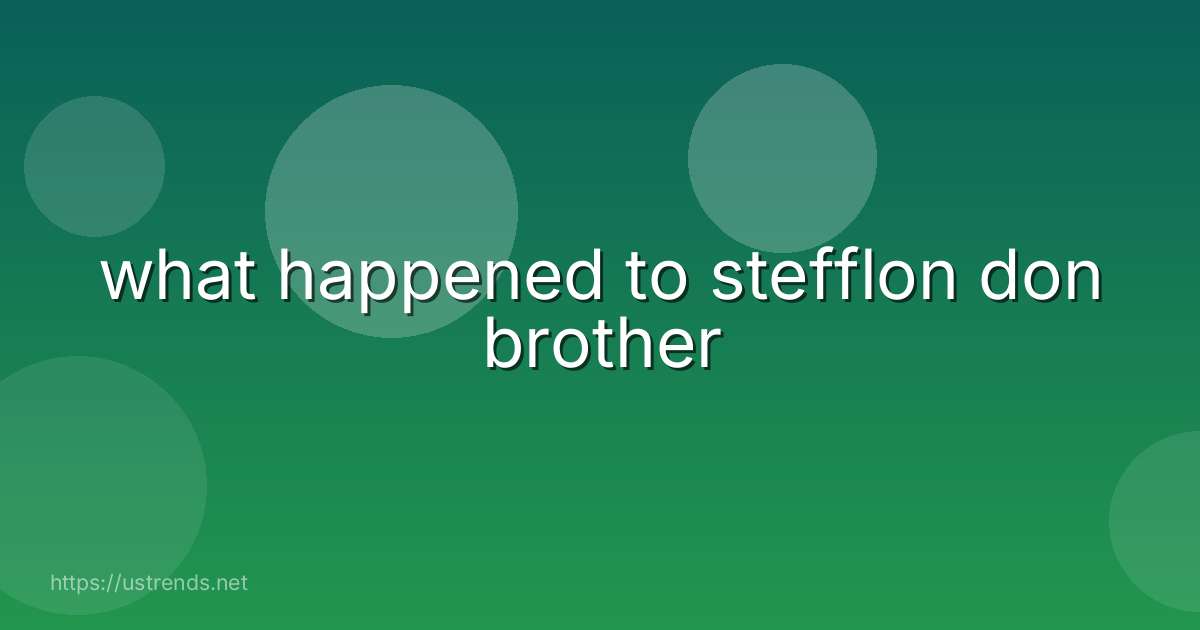 what happened to stefflon don brother