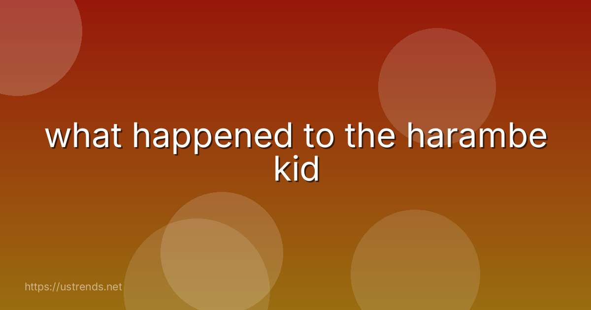 what happened to the harambe kid