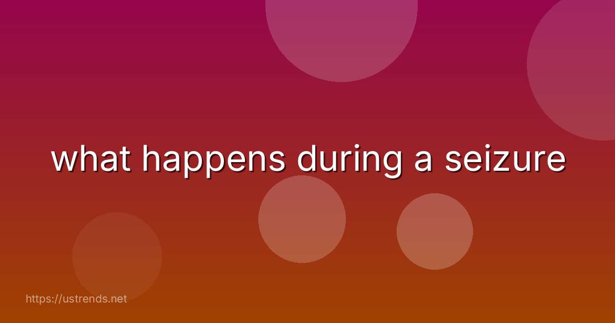 what happens during a seizure