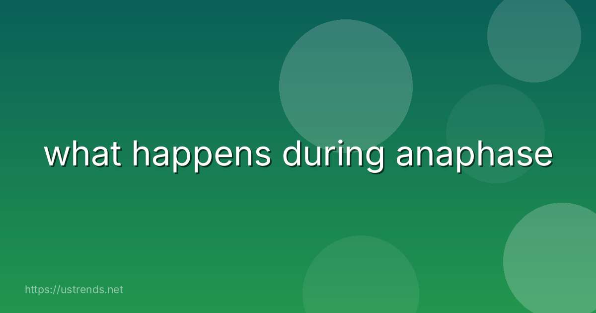 what happens during anaphase