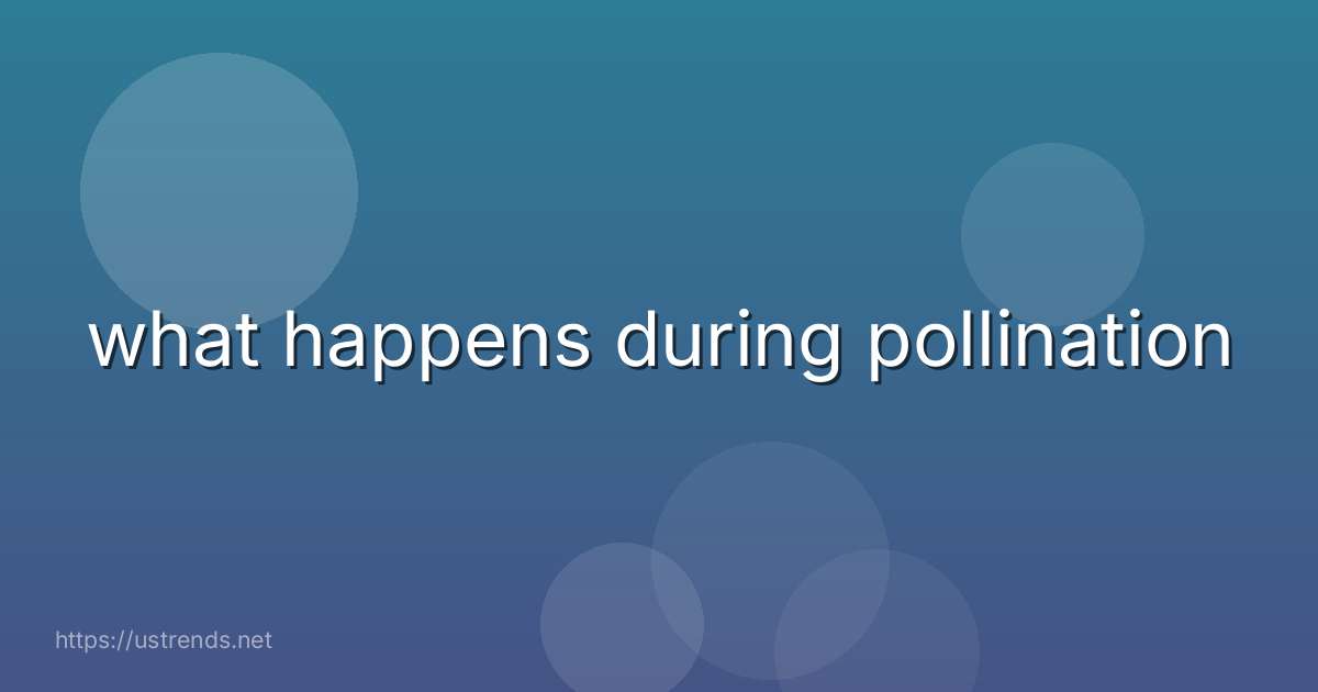 what happens during pollination