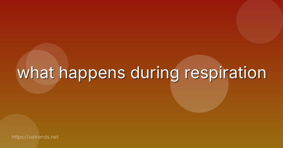 what happens during respiration