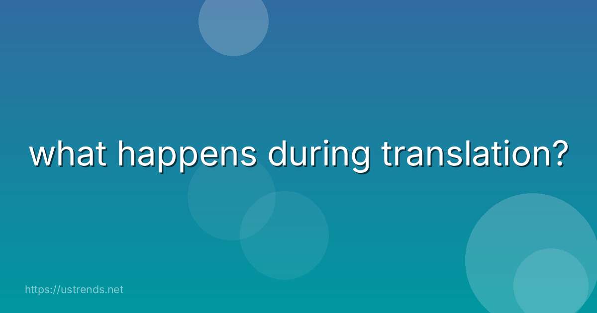 what happens during translation?