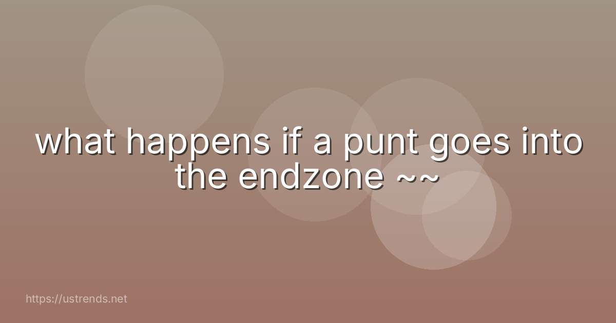 what happens if a punt goes into the endzone ~~