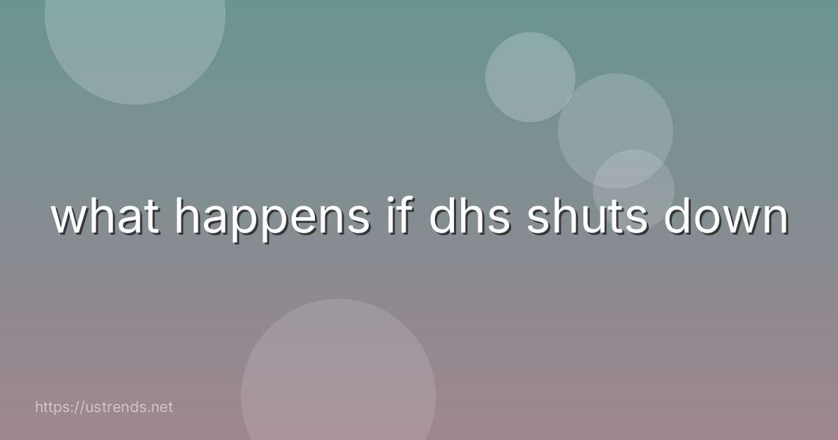 what happens if dhs shuts down