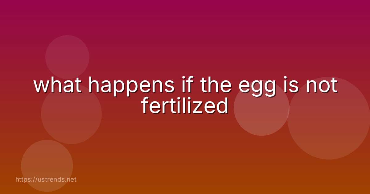 what happens if the egg is not fertilized