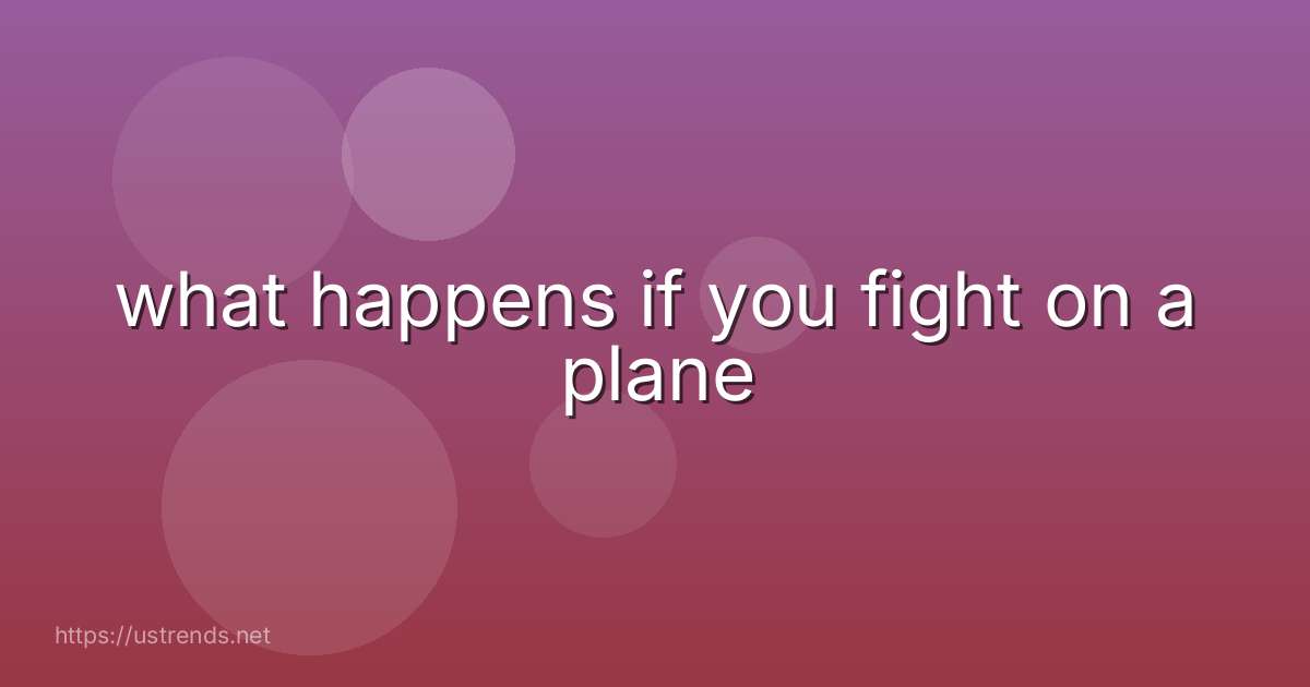 what happens if you fight on a plane