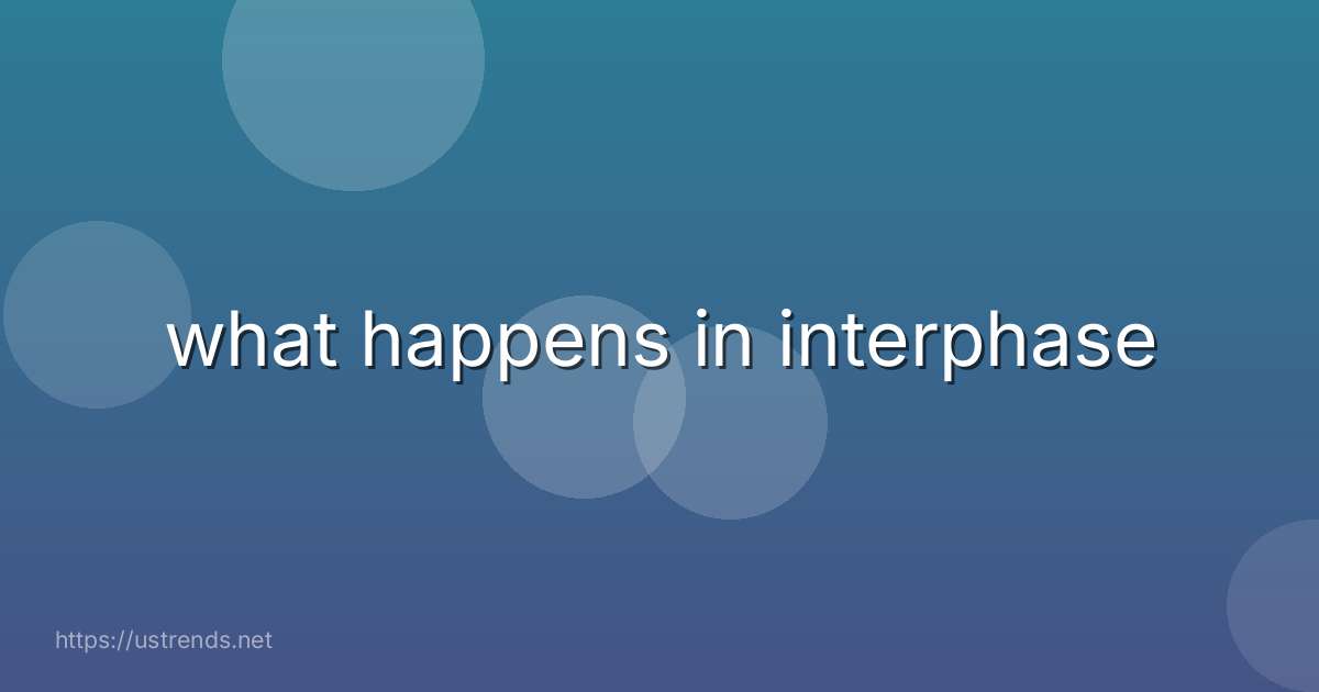 what happens in interphase
