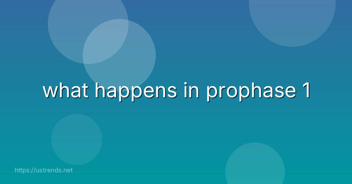 what happens in prophase 1