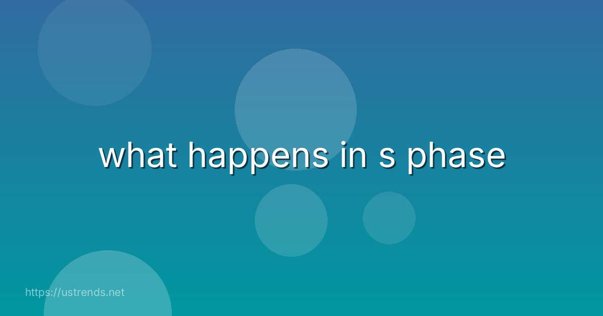 what happens in s phase