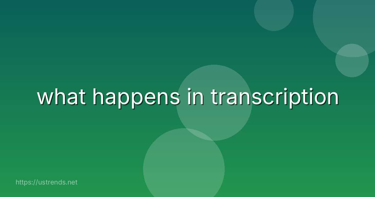what happens in transcription