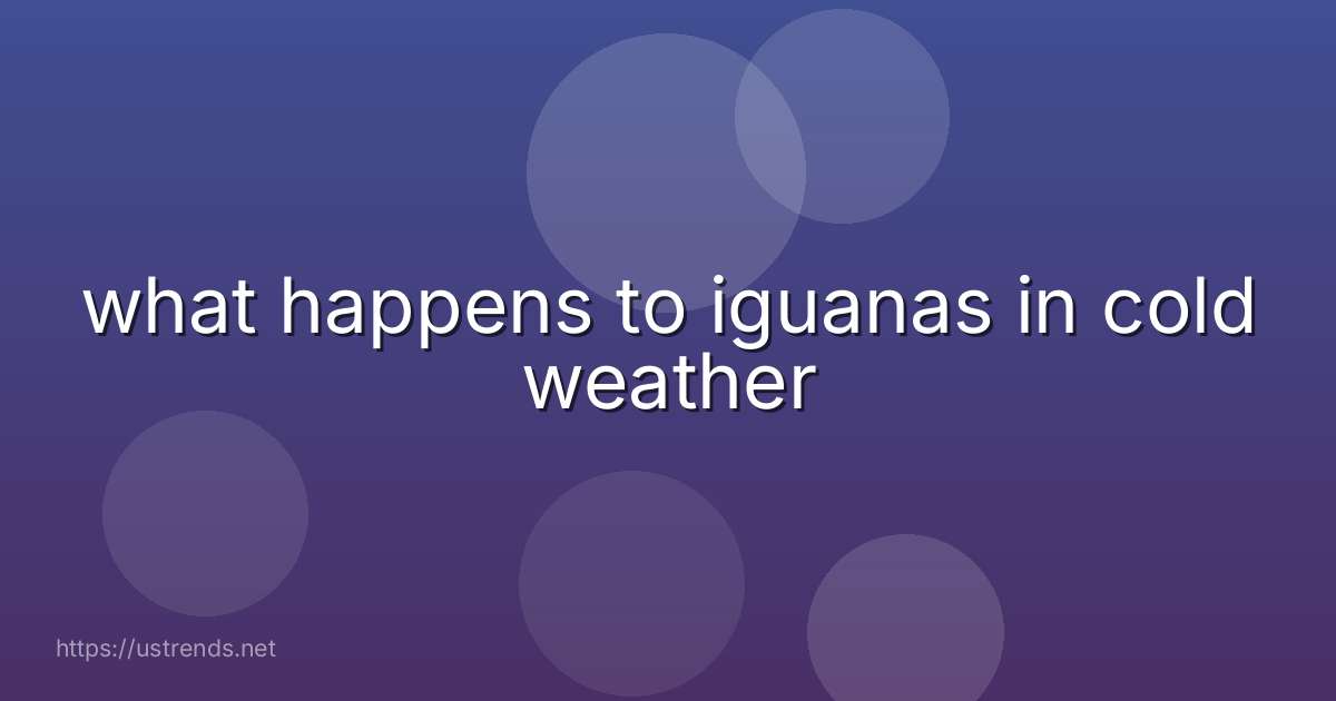 what happens to iguanas in cold weather