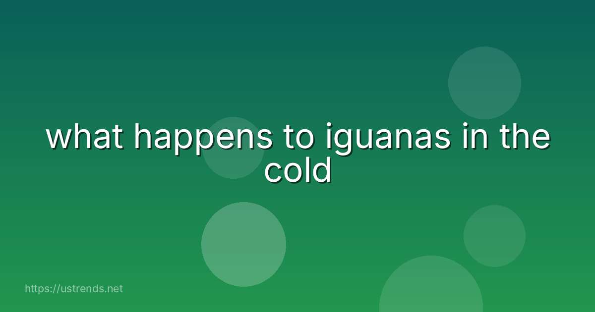 what happens to iguanas in the cold