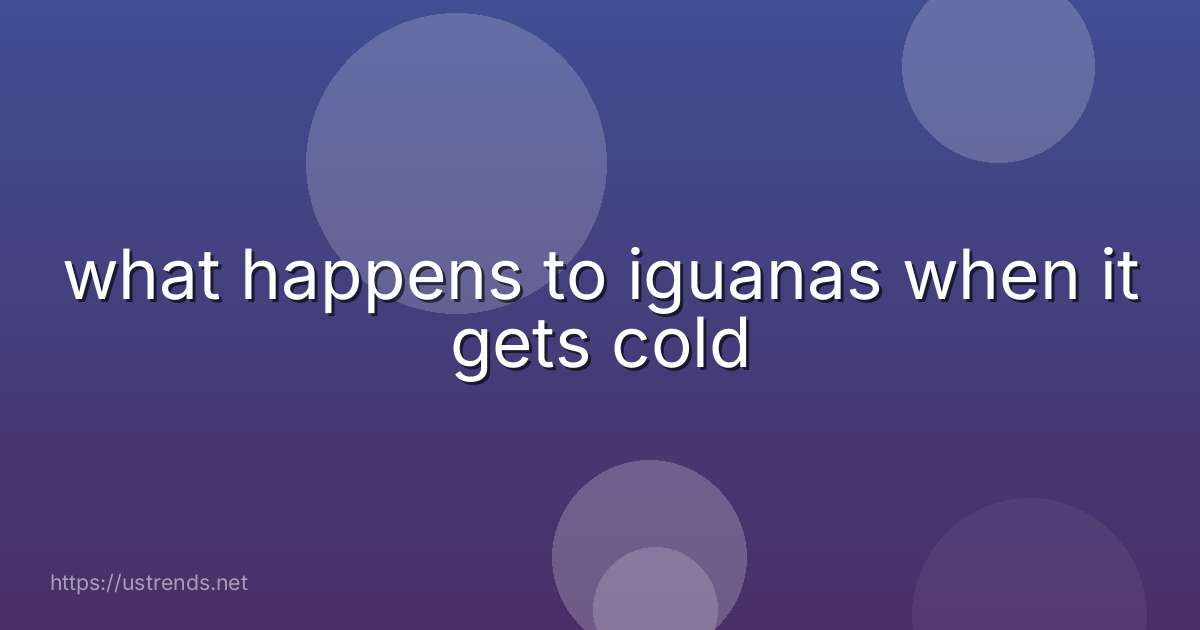 what happens to iguanas when it gets cold