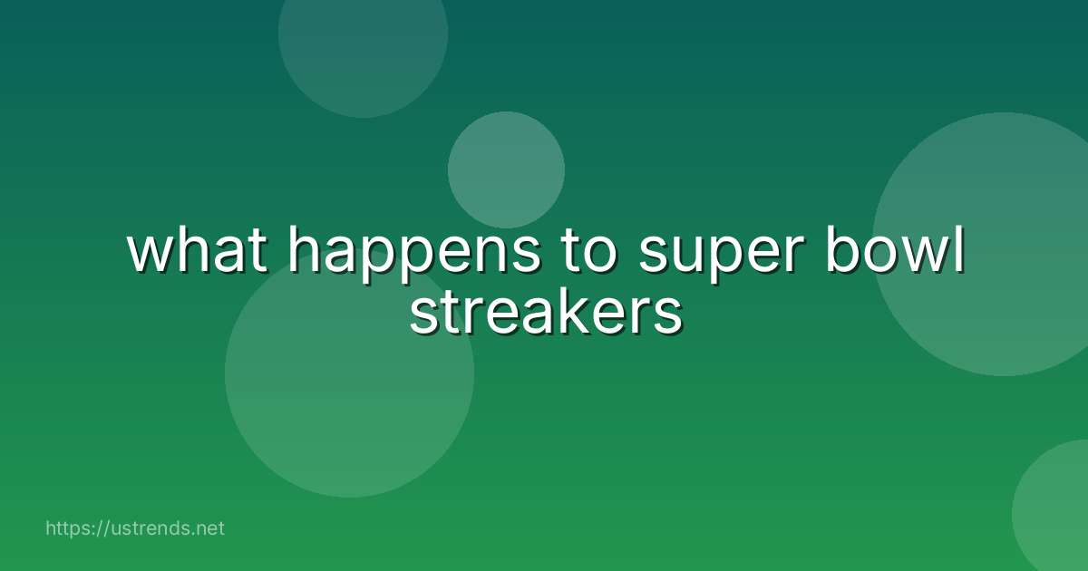 what happens to super bowl streakers