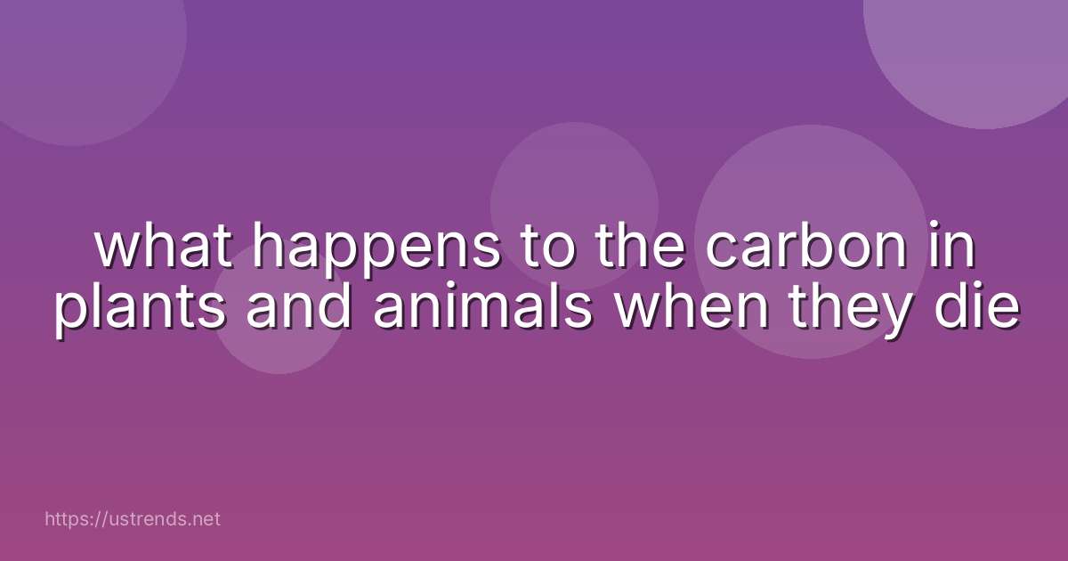 what happens to the carbon in plants and animals when they die