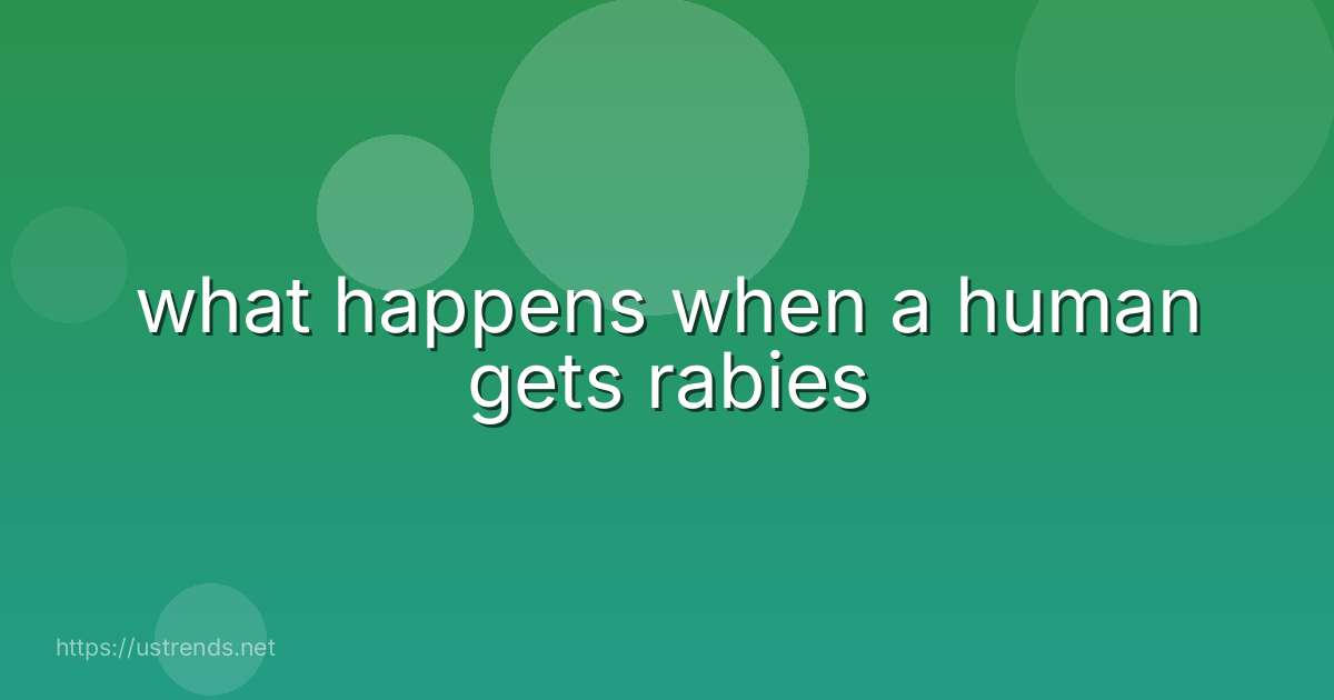what happens when a human gets rabies