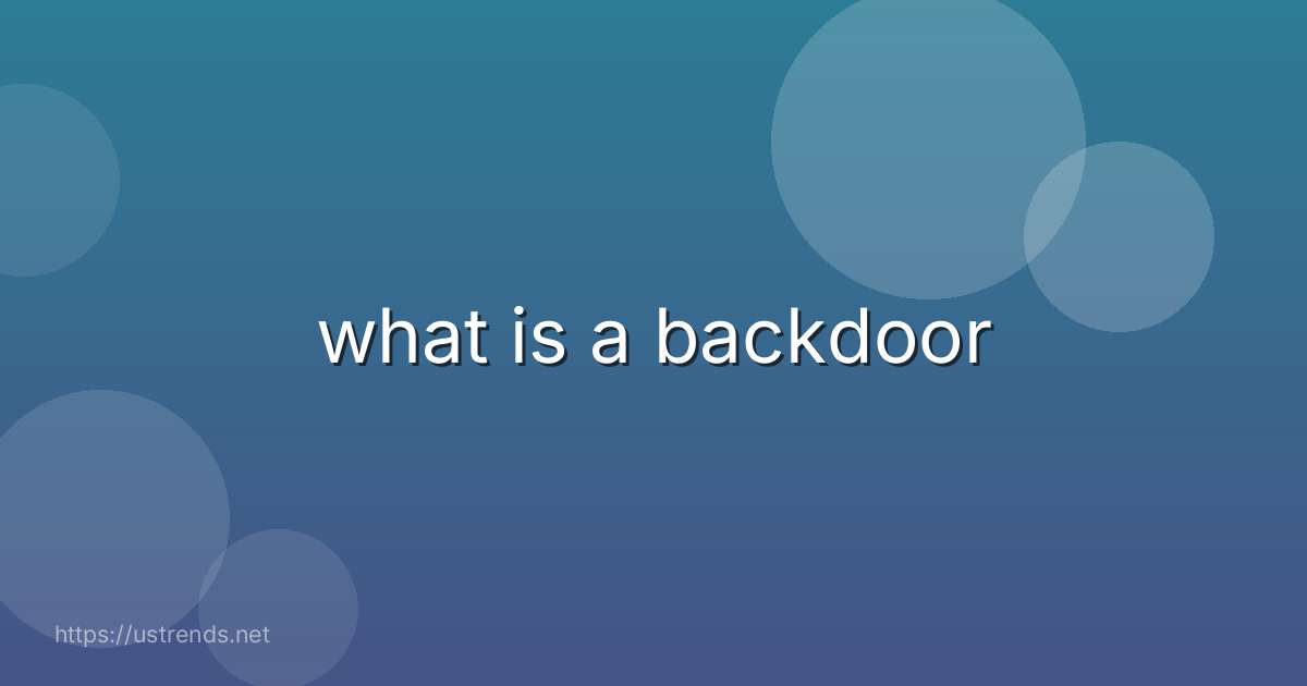 what is a backdoor