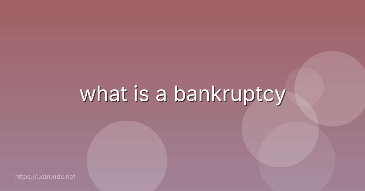 what is a bankruptcy