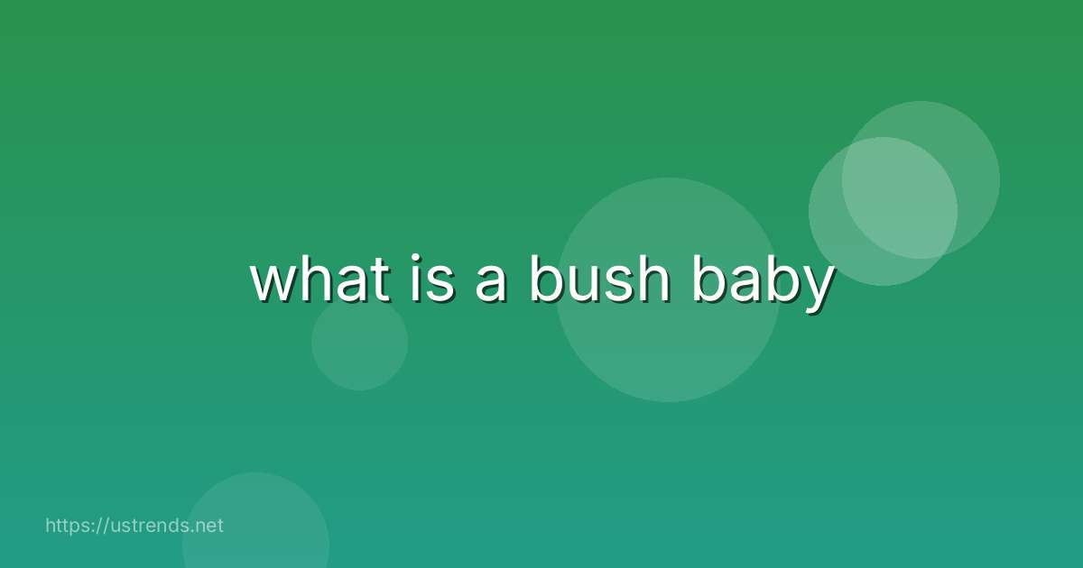 what is a bush baby