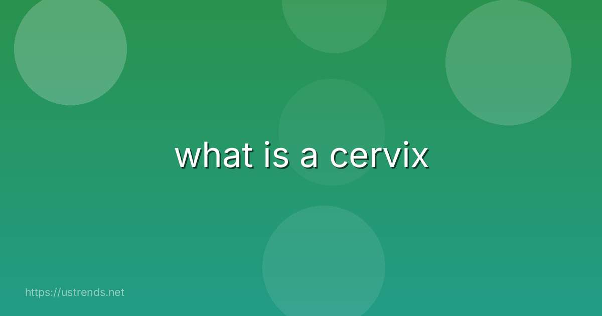 what is a cervix