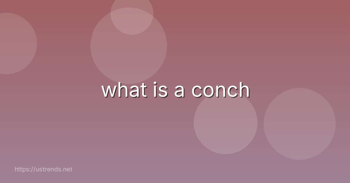 what is a conch