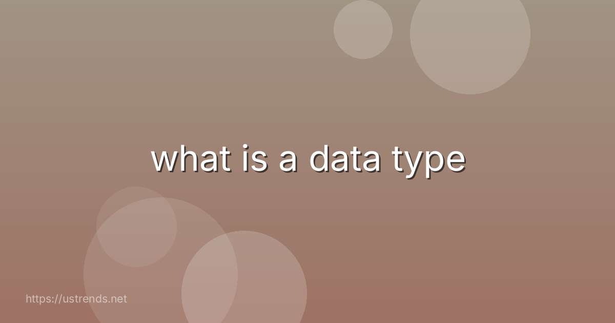 what is a data type