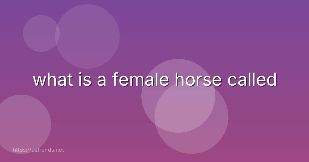 what is a female horse called
