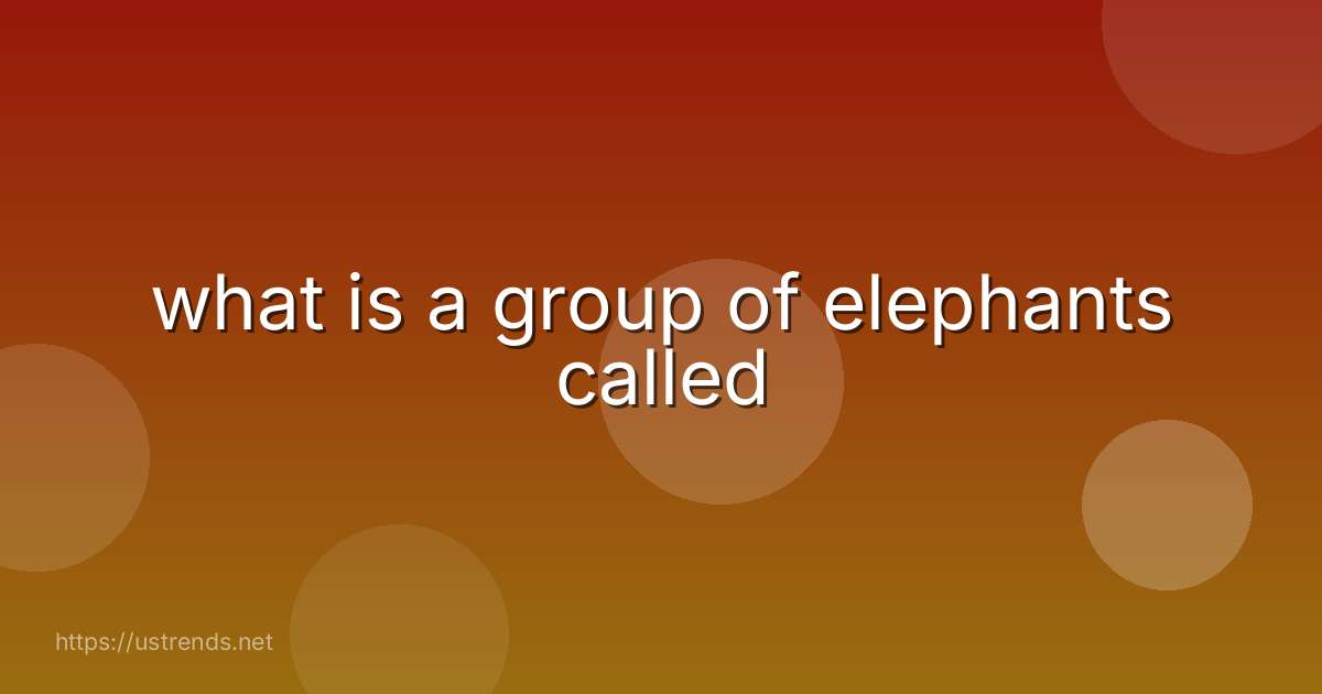 what is a group of elephants called