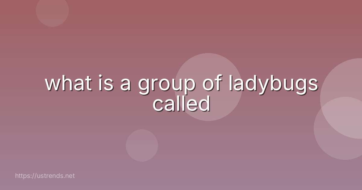 what is a group of ladybugs called