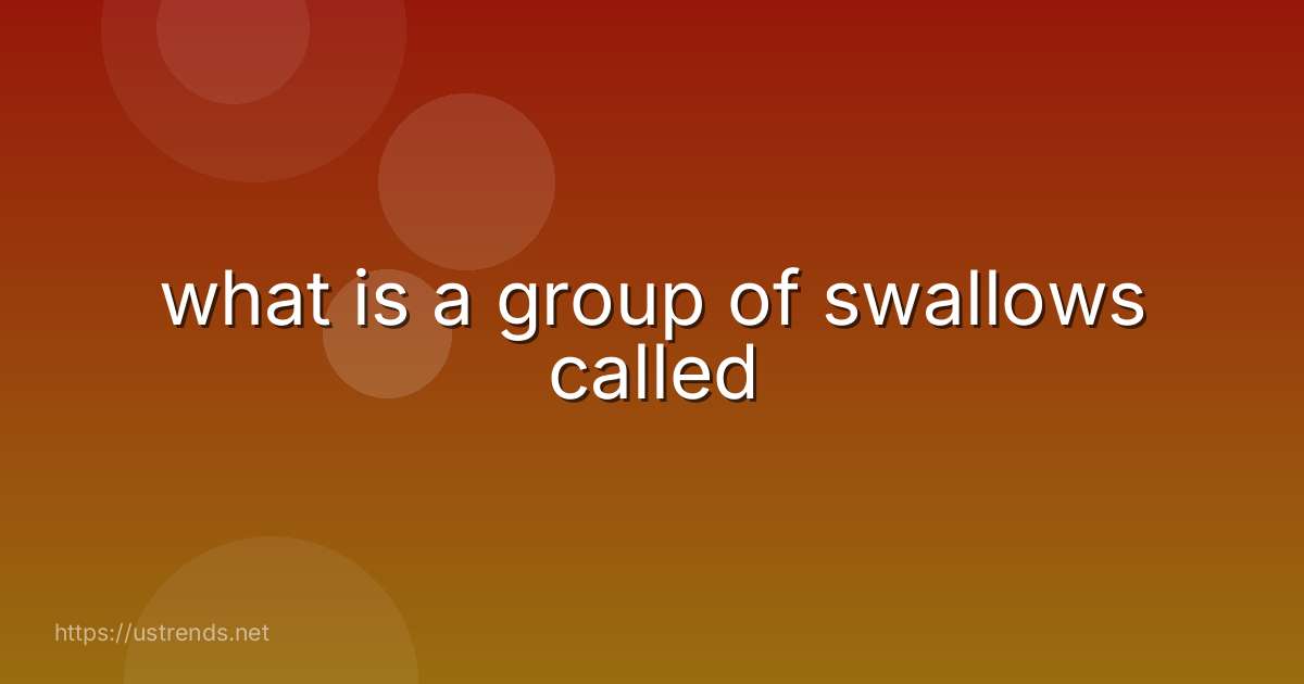 what is a group of swallows called