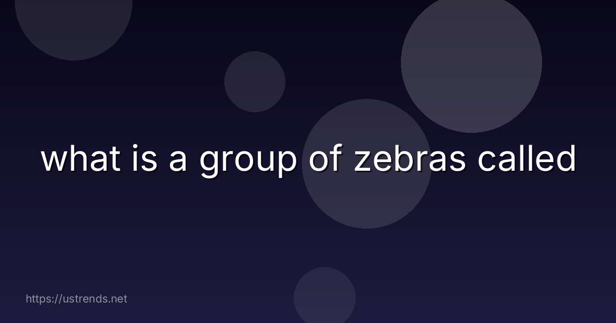 what is a group of zebras called
