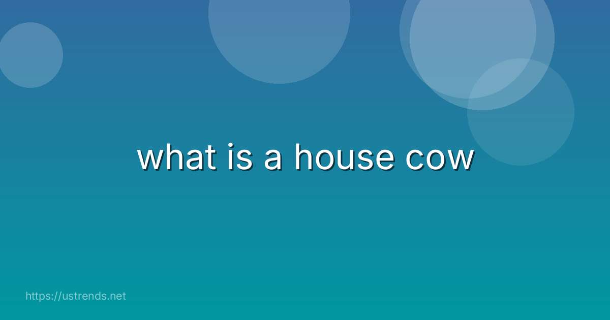 what is a house cow