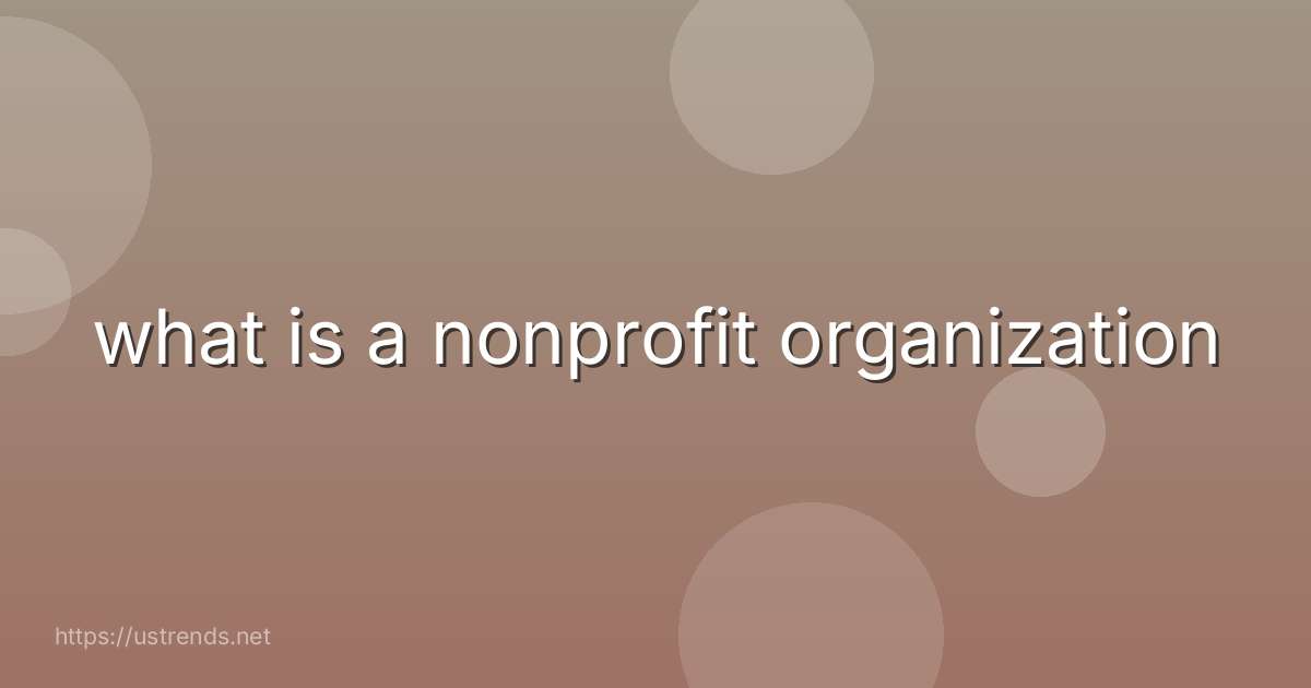 what is a nonprofit organization