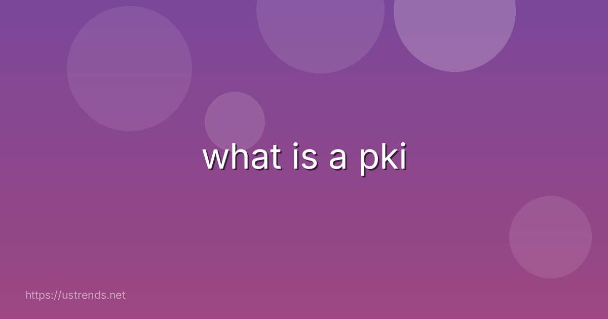 what is a pki